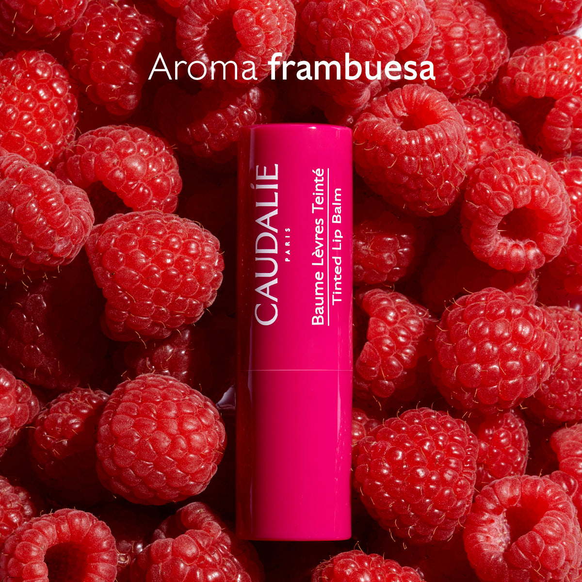 CAUDALIE STICK LABIOS COLOR FRAMBUESA