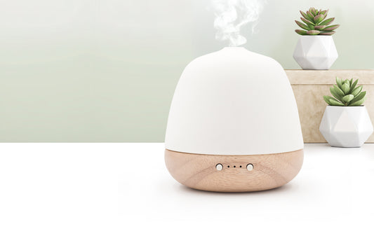 PRANAROM DIFUSOR CERA