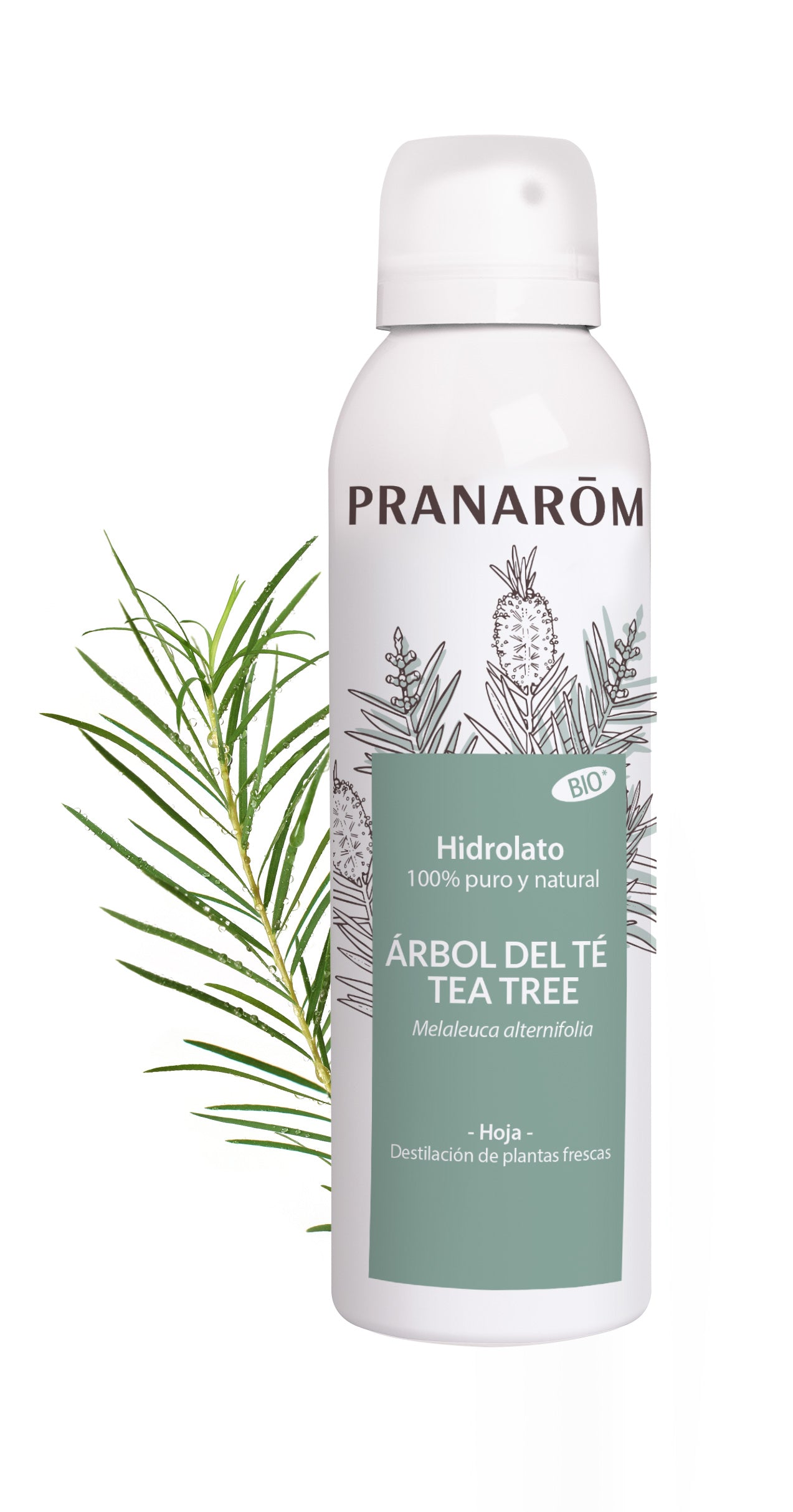 PRANAROM BRUMA HIDROLATO ARBOL DEL TE 150ML