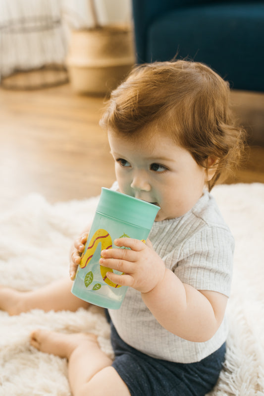 DR BROWNS VASO 360º SIN BOQUILLA +9M 300 ML