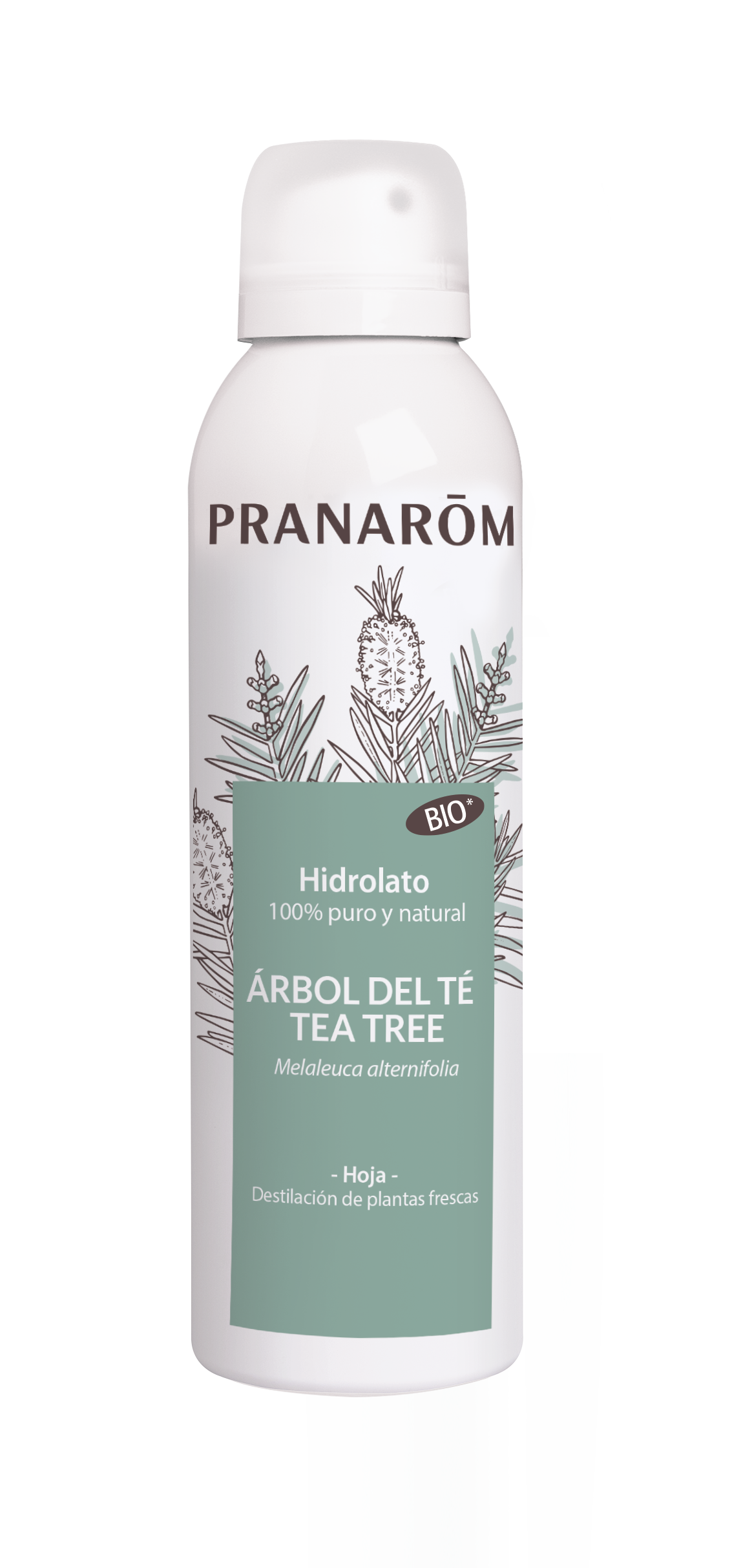 PRANAROM BRUMA HIDROLATO ARBOL DEL TE 150ML