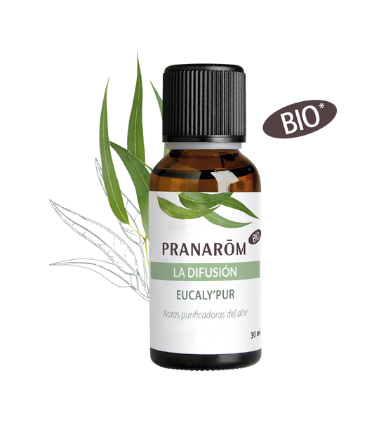 PRANAROM SINERGIA DIFUSION EUCALYPUR 30ML