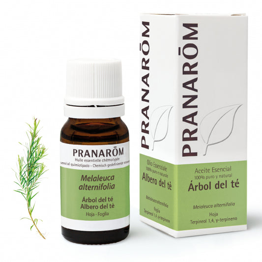 PRANAROM ACEITE ESENCIAL ARBOL DEL TE 10 ML